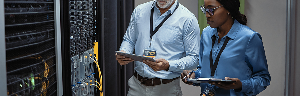 Dois profissionais analisando um banco de dados