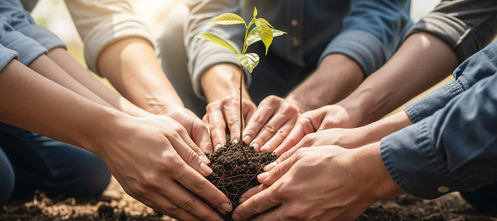Várias pessoas plantando uma árvore 