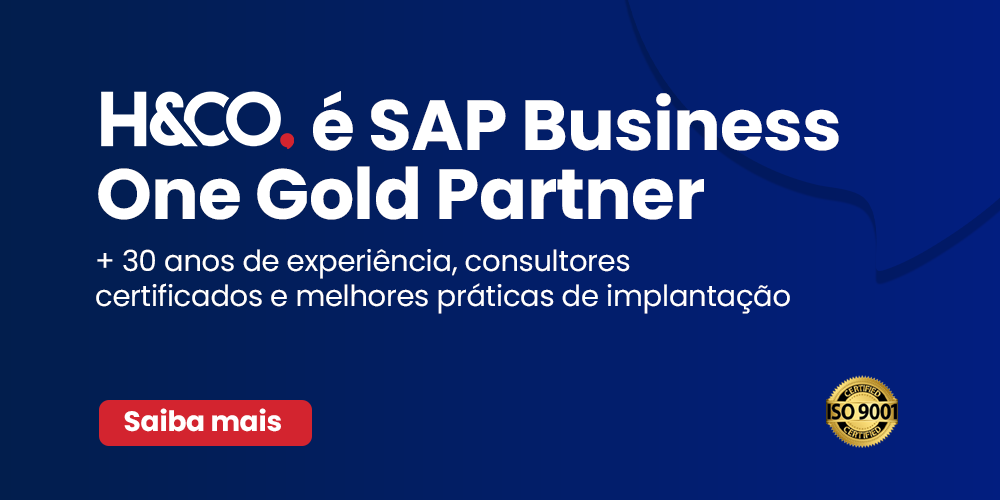 H&CO é SAP Business One Gold Partner