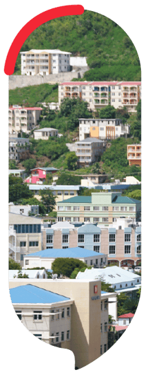 DB-BVI-50