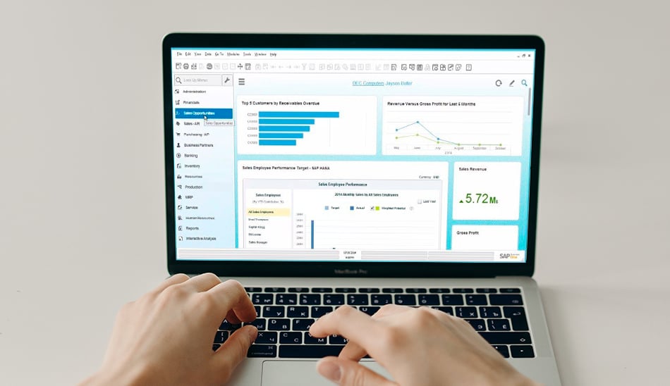 SAP-Business-One-Capabilities-hco