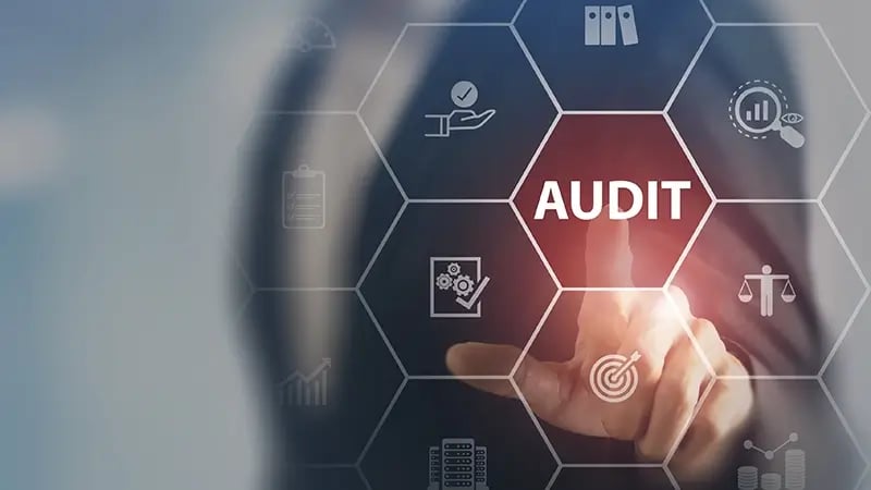 Auditoria do IRS, Declaração de Impostos.