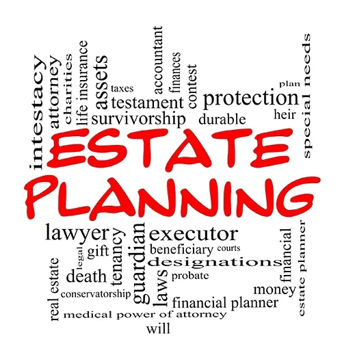 Word collage about estate planning  symbolizing streamlined procedure amnesty for expats.