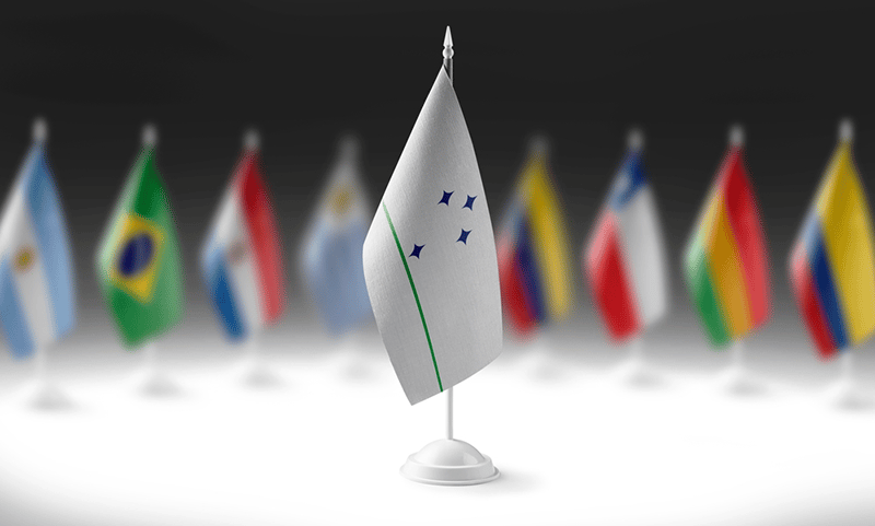 Official flag of MERCOSUR