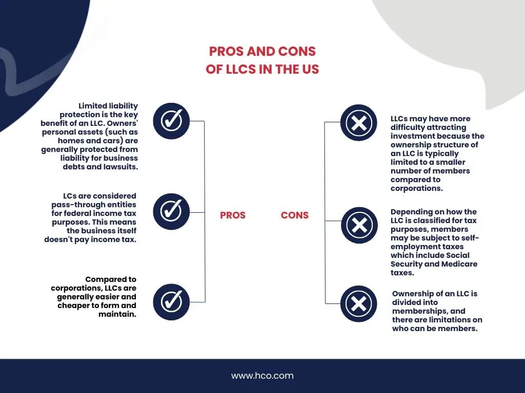 pros and cons of LLC (2)