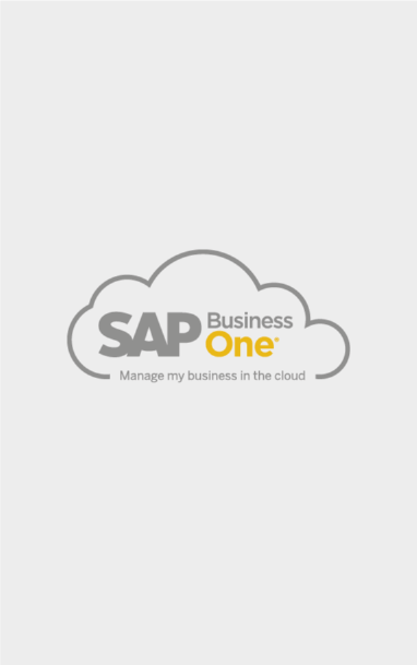 sapb1-cloud-v