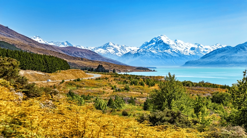 New Zealand