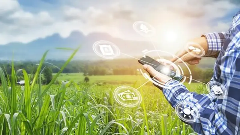ERP no Agronegócio: Entenda sua importância para a gestão