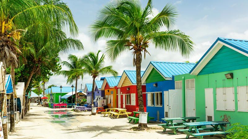 United States - Barbados Income Tax Treaty