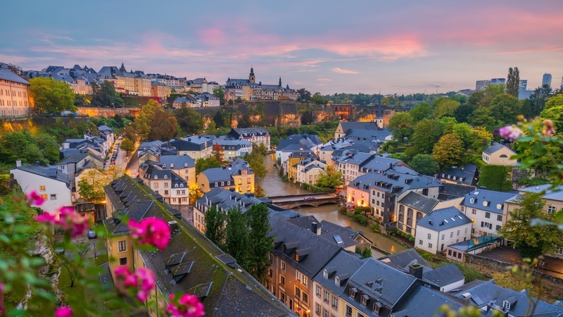 United States - Luxembourg Income Tax Treaty